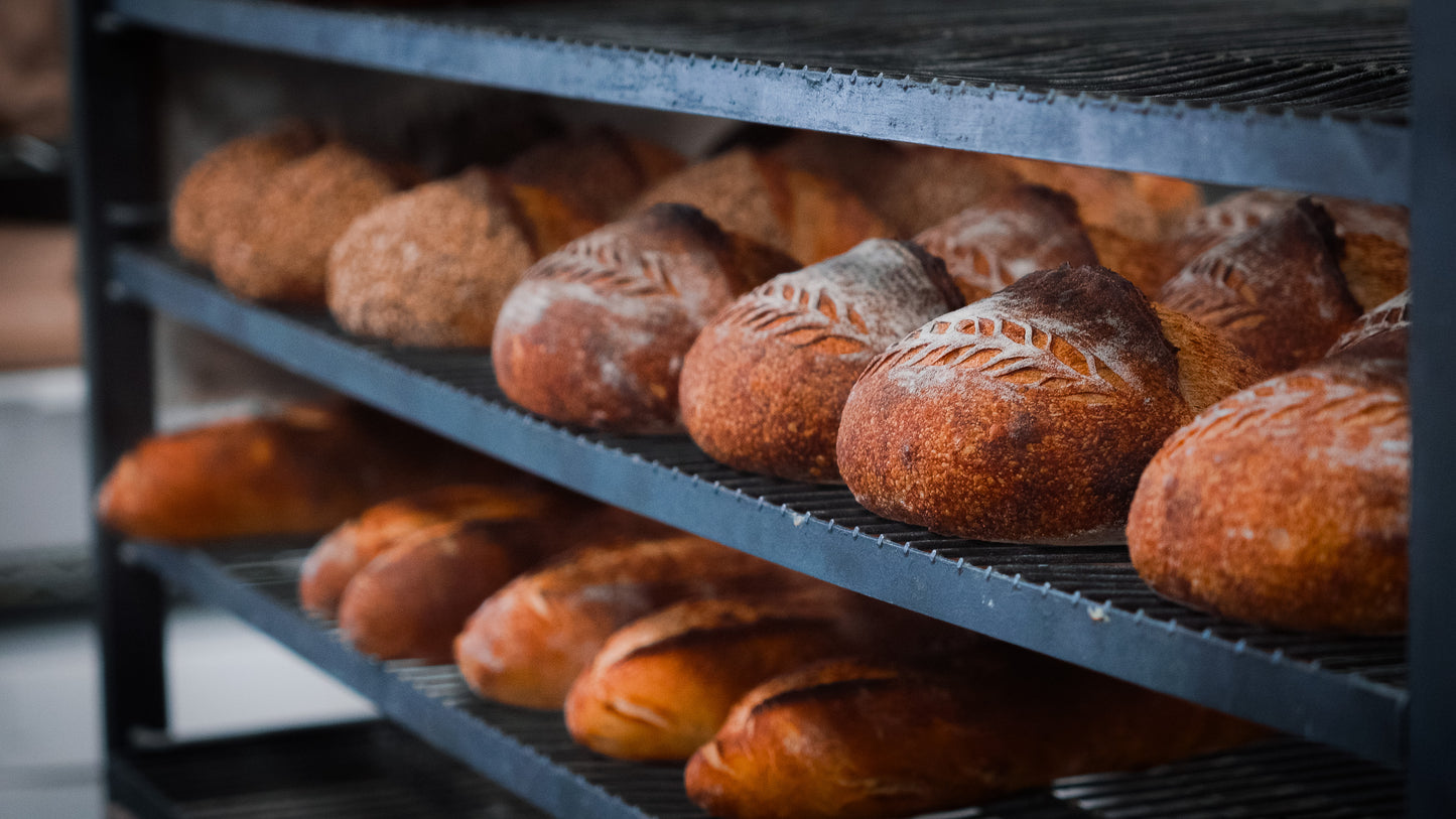 The Proof Bread Experience: Sourdough at Home, Saturday May 23rd