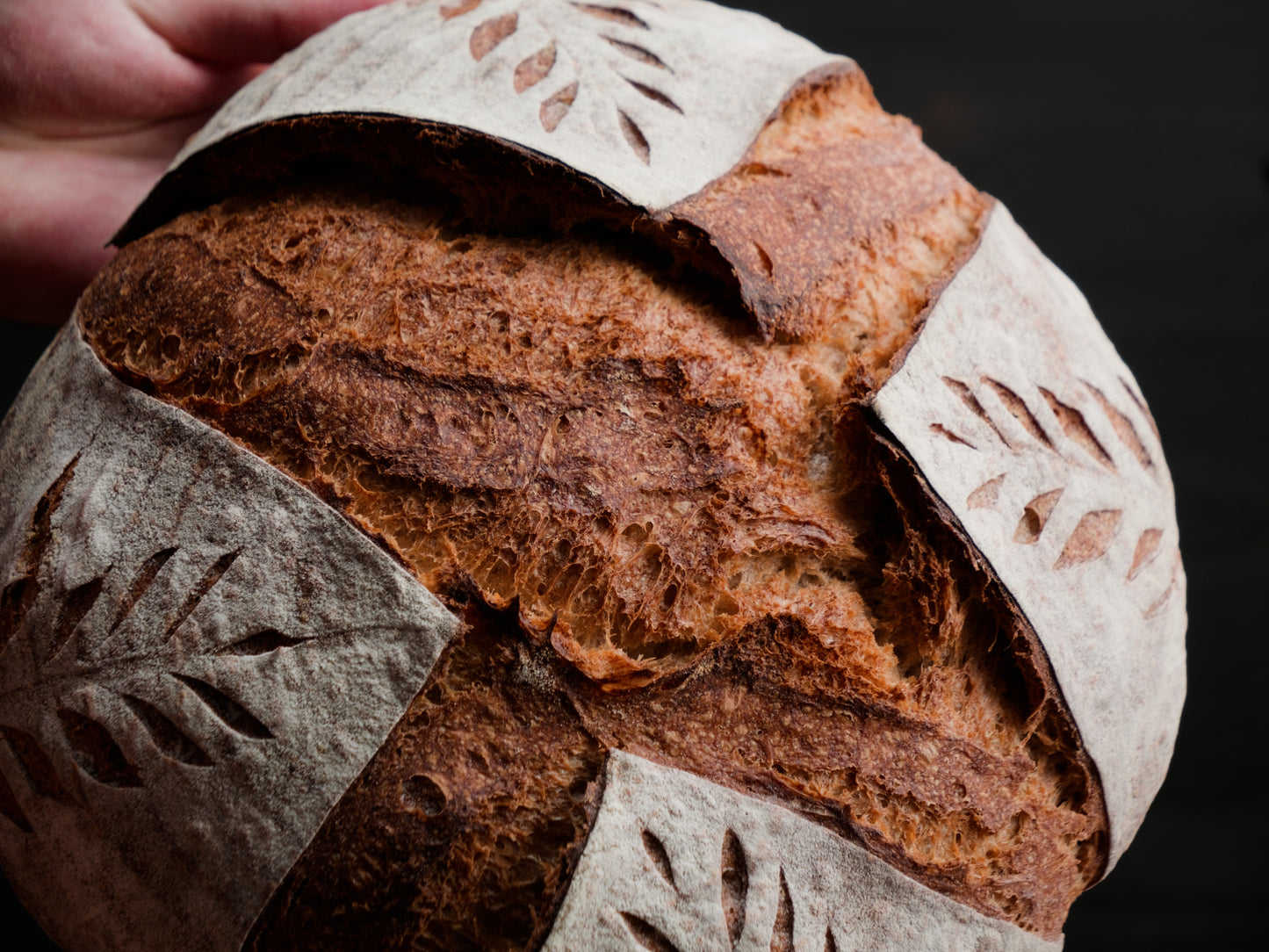 Up close Proof miche texture for bread shipping.