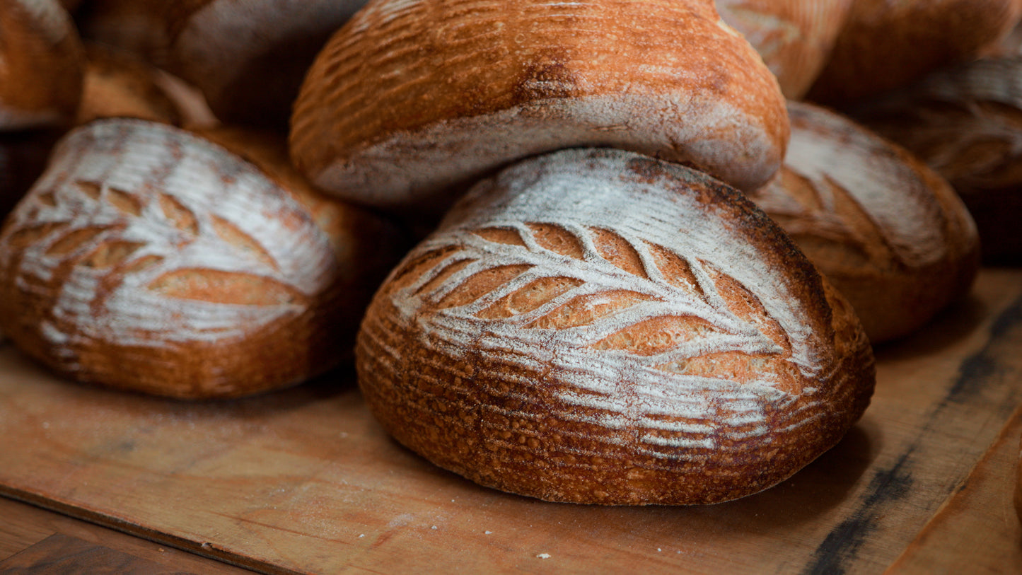 The Proof Bread Experience: Sourdough at Home, Saturday May 23rd