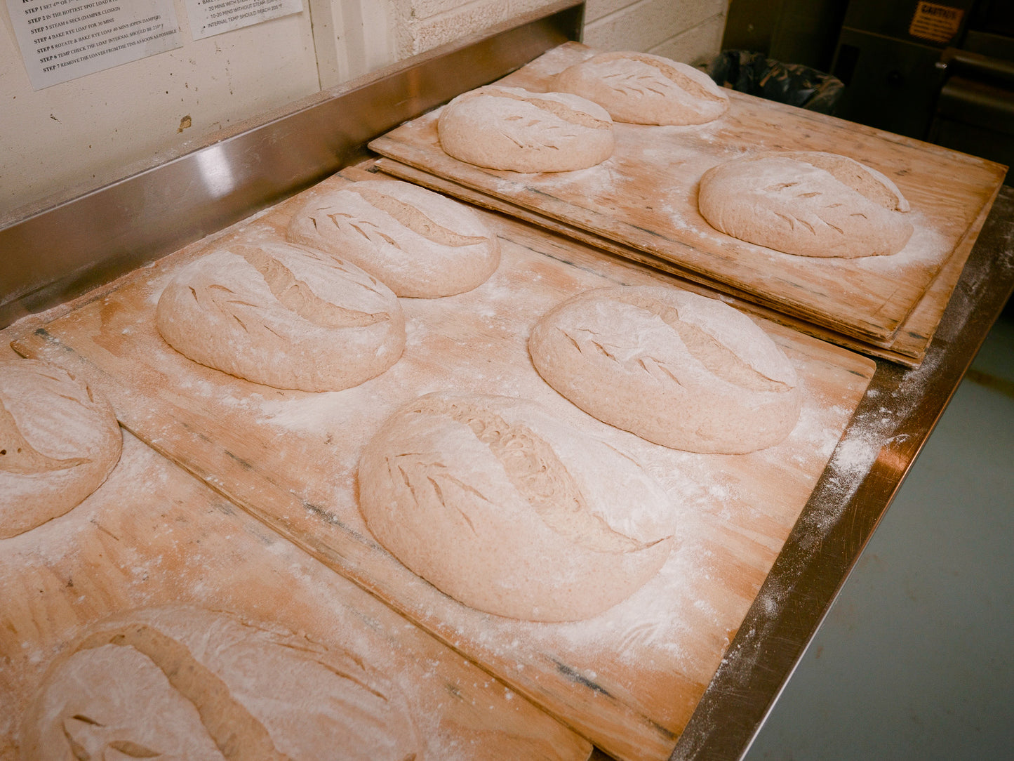 The Proof Bread Experience: Sourdough at Home, Saturday May 23rd