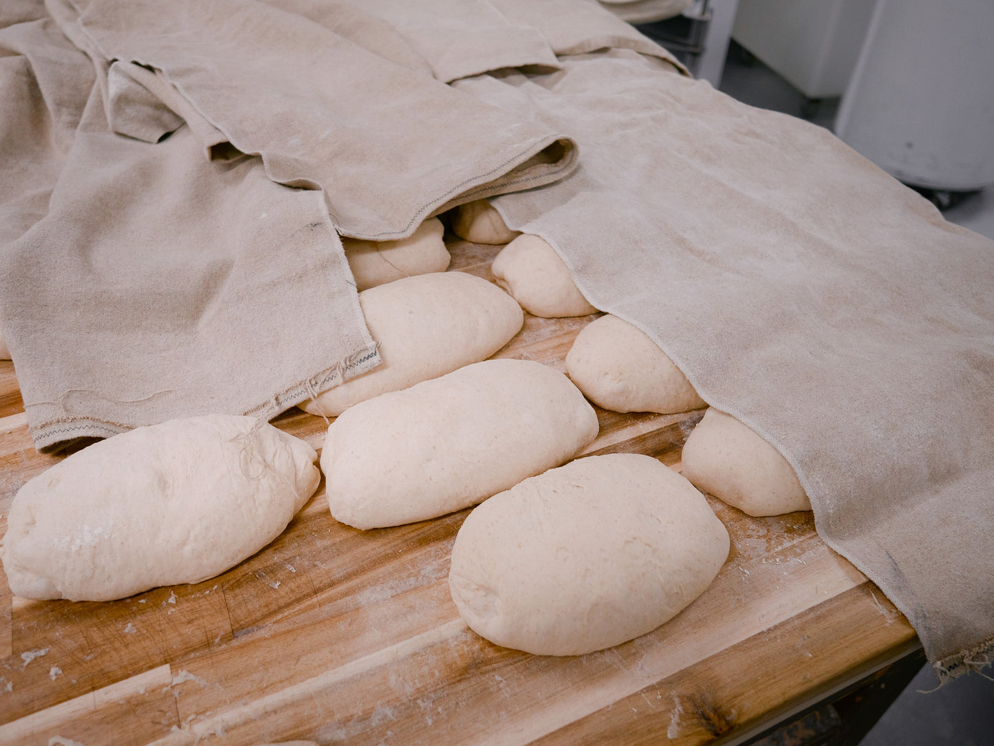 The Proof Bread Experience: Sourdough at Home, Saturday May 23rd