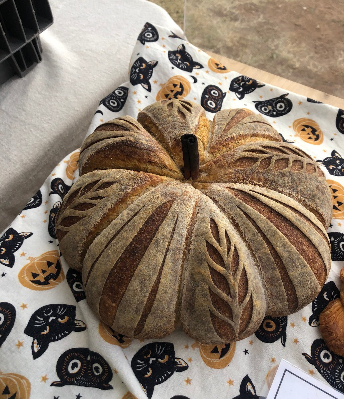 Sourdough Pumpkins at Shea: Tuesday, September 15th