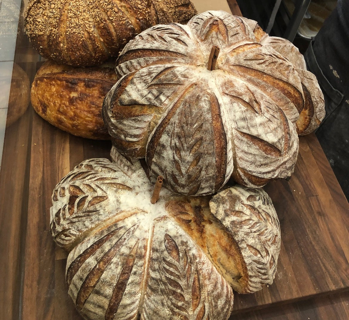Sourdough Pumpkins at Shea: Tuesday, September 15th