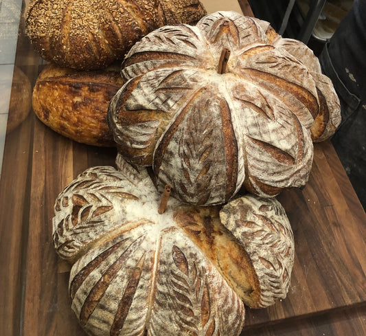 Sourdough Pumpkins at Mesa: Wednesday, September 16th