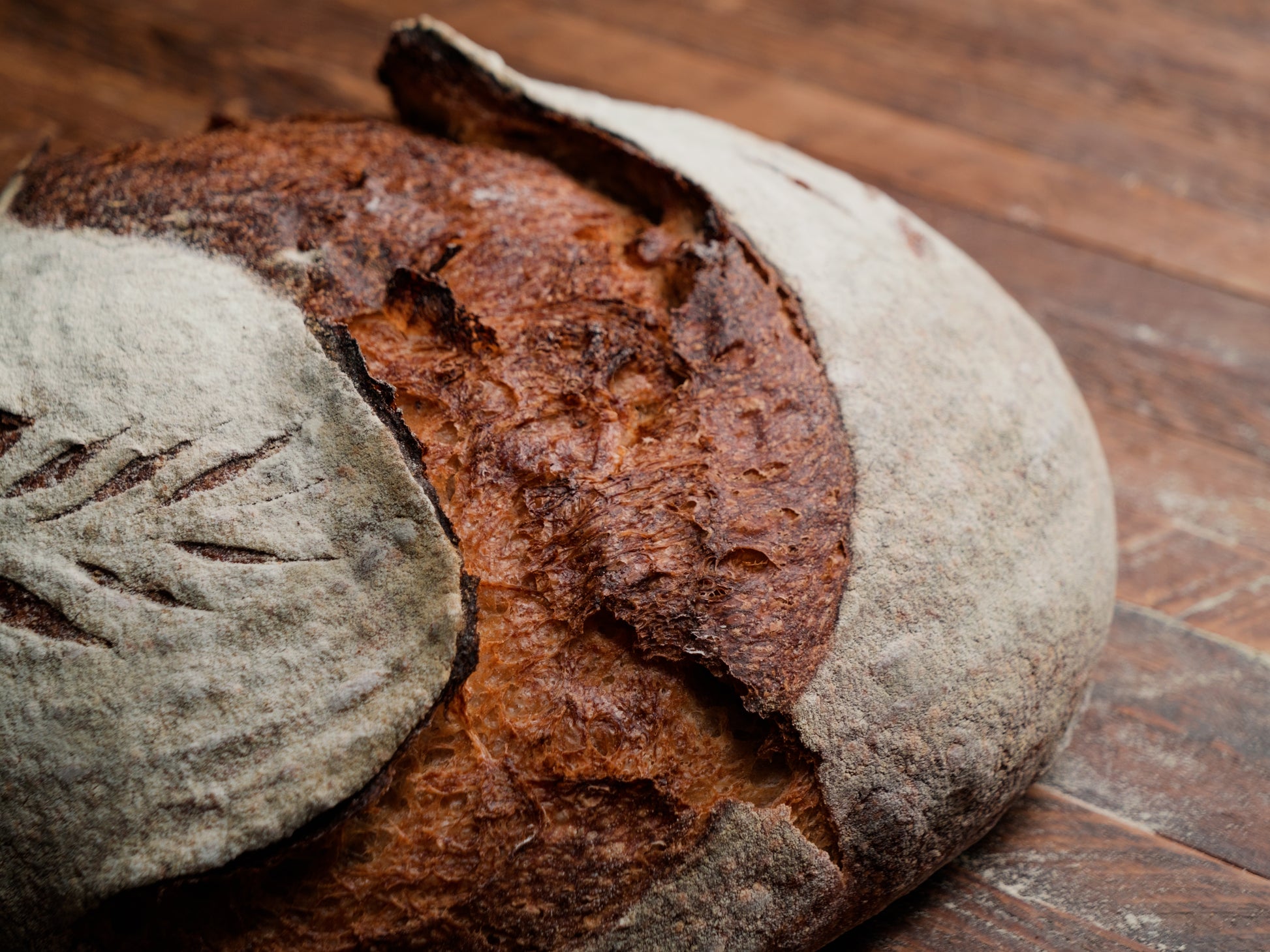 Khorasan Sourdough Miche texture 